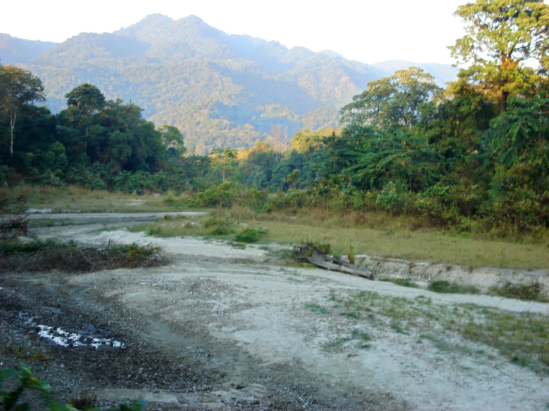 Forest and river landscapes in Manas National Park, Assam